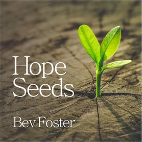 Bev_Foster_Hope_Seeds_Album_Cover-2